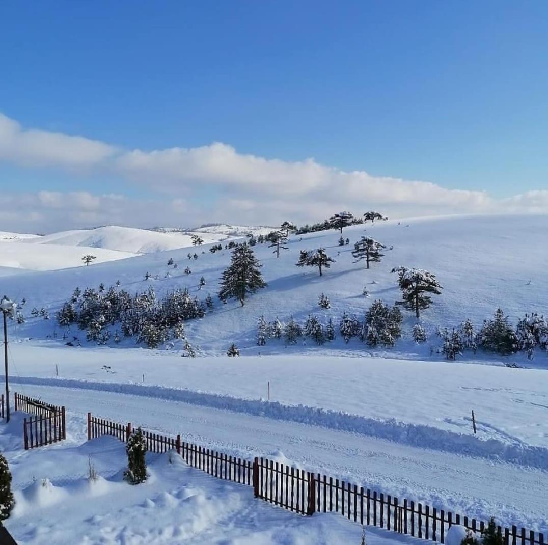 Villa Brvnara Cigota Zlatibor Exterior foto